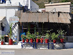 JustGreece.com Bloempotten near visrestaurant Emborios - Island of Chios - Foto van JustGreece.com