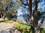 The zwarte pebble beach Emborios - Island of Chios - Photo JustGreece.com