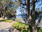 JustGreece.com The zwarte pebble beach Emborios - Island of Chios - Foto van JustGreece.com