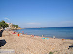 Pebble beach Megas Limnionas Photo 2 - Island of Chios - Photo JustGreece.com