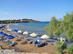 Ligstoelen and parasols Karfas - Island of Chios - Photo JustGreece.com