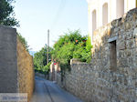 Kambos, hoge muren overal Photo 2 - Island of Chios - Photo JustGreece.com