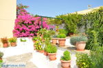 JustGreece.com Paleokastritsa (Palaiokastritsa) | Corfu | Ionian Islands | Greece  - Photo 36 - Foto van JustGreece.com