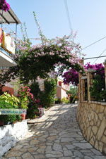 JustGreece.com Afionas (Near Cape Arilas) | Corfu | Ionian Islands | Greece  - Photo 7 - Foto van JustGreece.com