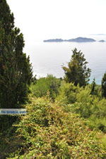 JustGreece.com Afionas (Near Cape Arilas) | Corfu | Ionian Islands | Greece  - Photo 9 - Foto van JustGreece.com