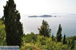 JustGreece.com Afionas (Near Cape Arilas) | Corfu | Ionian Islands | Greece  - Photo 12 - Foto van JustGreece.com