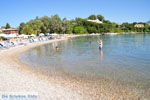 Gouvia | Corfu | Ionian Islands | Greece  - Photo 7 - Photo JustGreece.com