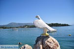 JustGreece.com Gouvia | Corfu | Ionian Islands | Greece  - Photo 13 - Foto van JustGreece.com