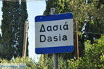 Dasia (Dassia) | Corfu | Ionian Islands | Greece  - Photo 1 - Photo JustGreece.com