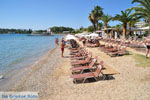 Dasia (Dassia) | Corfu | Ionian Islands | Greece  - Photo 5 - Photo JustGreece.com