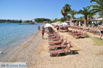 JustGreece.com Dasia (Dassia) | Corfu | Ionian Islands | Greece  - Photo 5 - Foto van JustGreece.com