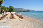 Dasia (Dassia) | Corfu | Ionian Islands | Greece  - Photo 8 - Photo JustGreece.com