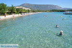 Dasia (Dassia) | Corfu | Ionian Islands | Greece  - Photo 12 - Photo JustGreece.com