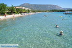 JustGreece.com Dasia (Dassia) | Corfu | Ionian Islands | Greece  - Photo 12 - Foto van JustGreece.com