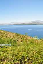 Corfu tegenover Albanie | Greece  - Photo 2 - Photo JustGreece.com