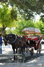 Corfu town | Corfu | Ionian Islands | Greece  - Photo 2 - Photo JustGreece.com