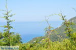 Pelekas Keizers' troon | Corfu | Ionian Islands | Greece  - Photo 16 - Photo JustGreece.com
