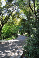Mon Repos | Corfu | Ionian Islands | Greece  - Photo 4 - Photo JustGreece.com