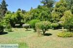 Mon Repos | Corfu | Ionian Islands | Greece  - Photo 16 - Photo JustGreece.com