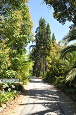 Mon Repos | Corfu | Ionian Islands | Greece  - Photo 22 - Photo JustGreece.com