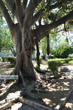 JustGreece.com Corfu town | Corfu | Ionian Islands | Greece  - Photo 96 - Foto van JustGreece.com