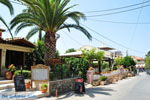 JustGreece.com Agios Gordis (Gordios) | Corfu | Ionian Islands | Greece  - Photo 57 - Foto van JustGreece.com