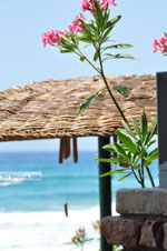Agios Gordis (Gordios) | Corfu | Ionian Islands | Greece  - Photo 70 - Photo JustGreece.com