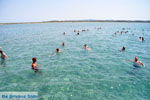 JustGreece.com  beach Molos near Lefkimi (Lefkimmi) | Corfu | Ionian Islands | Greece  - Foto van JustGreece.com