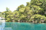 Gaios | Island of Paxos (Paxi) near Corfu | Ionian Islands | Greece  | Photo 011 - Photo JustGreece.com