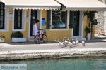 Gaios | Island of Paxos (Paxi) near Corfu | Ionian Islands | Greece  | Photo 018 - Photo JustGreece.com