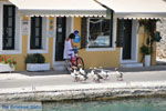 Gaios | Island of Paxos (Paxi) near Corfu | Ionian Islands | Greece  | Photo 019 - Photo JustGreece.com
