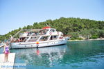 Gaios | Island of Paxos (Paxi) near Corfu | Ionian Islands | Greece  | Photo 023 - Photo JustGreece.com
