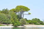 Gaios | Island of Paxos (Paxi) near Corfu | Ionian Islands | Greece  | Photo 085 - Photo JustGreece.com
