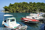 Gaios | Island of Paxos (Paxi) near Corfu | Ionian Islands | Greece  | Photo 098 - Photo JustGreece.com