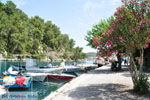Gaios | Island of Paxos (Paxi) near Corfu | Ionian Islands | Greece  | Photo 100 - Photo JustGreece.com