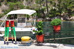 Gaios | Island of Paxos (Paxi) near Corfu | Ionian Islands | Greece  | Photo 102 - Photo JustGreece.com