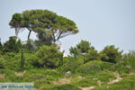 Island of Paxos (Paxi) near Corfu | Ionian Islands | Greece  | Photo 068 - Photo JustGreece.com
