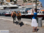 Island of Hydra Greece - Greece  Photo 31 - Photo JustGreece.com
