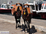 Island of Hydra Greece - Greece  Photo 32 - Photo JustGreece.com