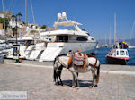 Island of Hydra Greece - Greece  Photo 35 - Photo JustGreece.com