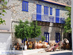 Island of Hydra Greece - Greece  Photo 45 - Photo JustGreece.com