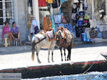 Island of Hydra Greece - Greece  Photo 74 - Photo JustGreece.com