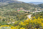 Aperi | Karpathos island | Dodecanese | Greece  Photo 024 - Photo JustGreece.com