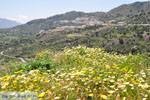 JustGreece.com Othos | Karpathos island | Dodecanese | Greece  Photo 002 - Foto van JustGreece.com