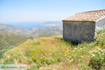 JustGreece.com Othos | Karpathos island | Dodecanese | Greece  Photo 004 - Foto van JustGreece.com