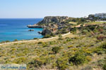 JustGreece.com Amopi (Amoopi) | Karpathos island | Dodecanese | Greece  Photo 005 - Foto van JustGreece.com