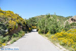 nature Karpathos near Achata Beach | Greece  | Island of Karpathos - Photo JustGreece.com