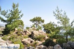 JustGreece.com nature in the oosten of Karpathos | Greece  003 - Foto van JustGreece.com