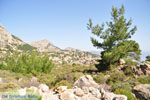 nature in the oosten of Karpathos | Greece  004 - Photo JustGreece.com