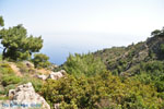 nature in the oosten of Karpathos | Greece  005 - Photo JustGreece.com